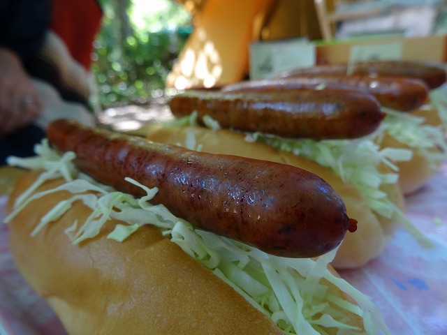 %e3%82%ab%e3%83%bc%e3%83%88%e3%83%b3%e3%83%89%e3%83%83%e3%82%b0