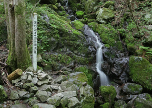 fy5hd668443cf973_img8284