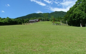 %e3%81%a4%e3%81%8f%e3%81%b0%e3%81%ade