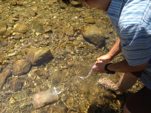 大人もハマるお魚観察 川魚の仕掛け 手作りセルビン を仕掛けてみました 川遊びマップ