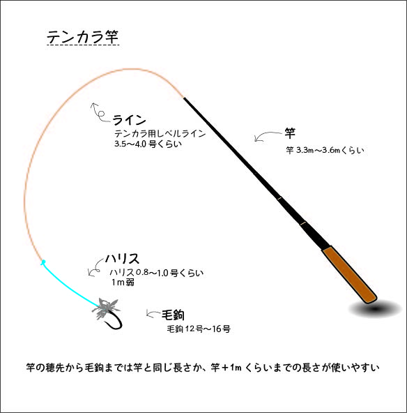 テンカラとは 道具やキャスティング方法 アワセのコツまで イラスト付 川遊びマップ