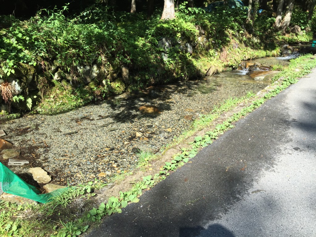 阿寺渓谷　川遊び