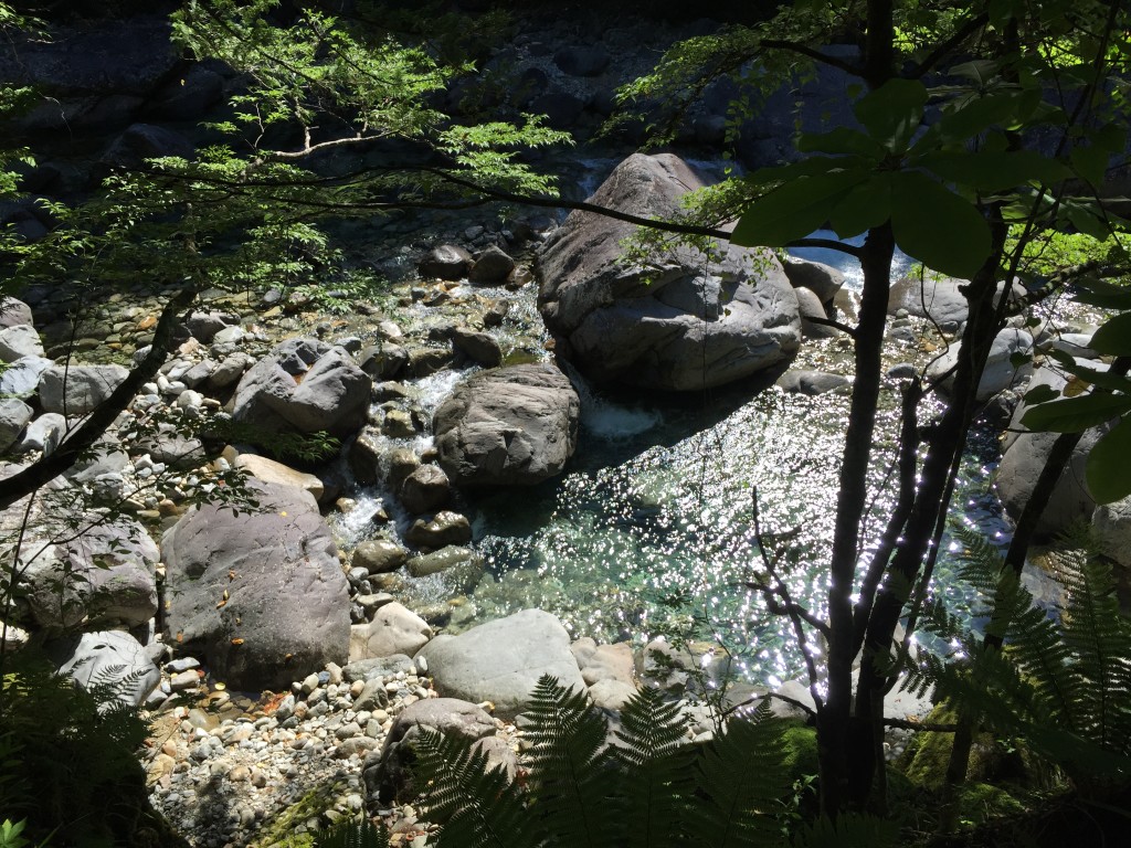 阿寺渓谷　川遊び