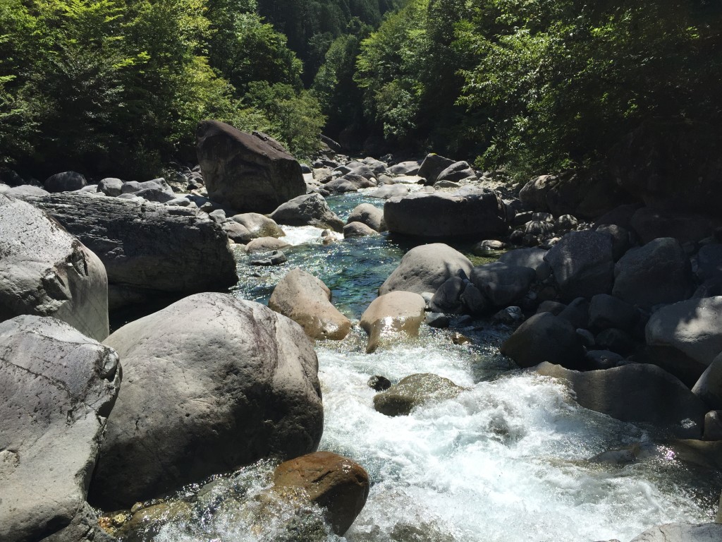 阿寺渓谷　川遊び