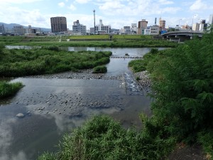 本流に支流が注ぐフィールドで。