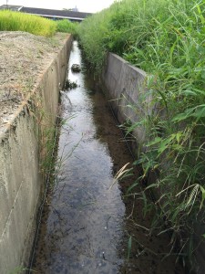 今日のフィールドはこちら