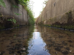 見事なコンクリ用水路