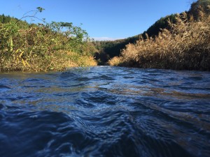 水面スレスレから見る景色がとても好きです。