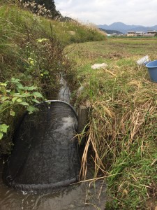 水路もなかなか楽しい。