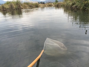 流石に疲れてくる。