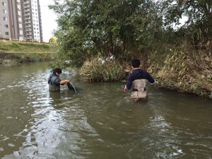 サデ網を使って大物を狙います!