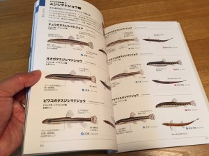 同定は推理小説によく似ている