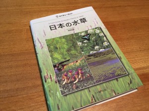 番外編　日本の水草